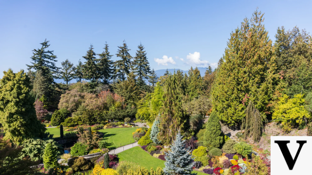 Queen Elizabeth Park: Gardens and Panoramic Views